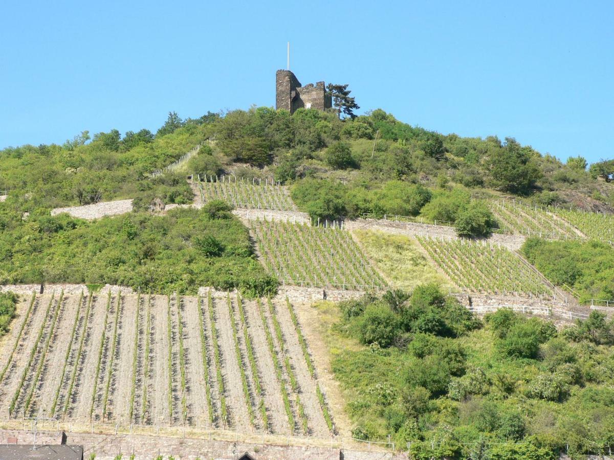 Gaestehaus Cheval Blanc Lorch am Rhein Εξωτερικό φωτογραφία