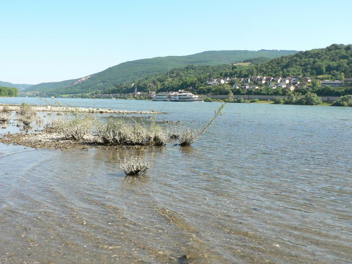 Gaestehaus Cheval Blanc Lorch am Rhein Εξωτερικό φωτογραφία